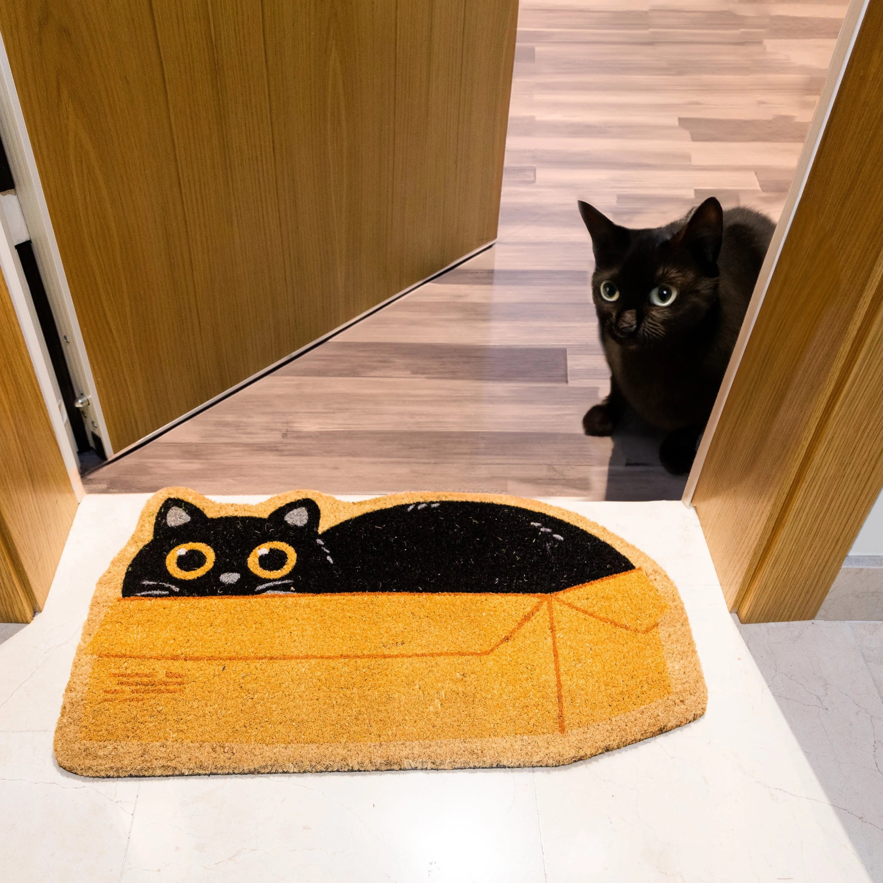Cat Box - Paillasson