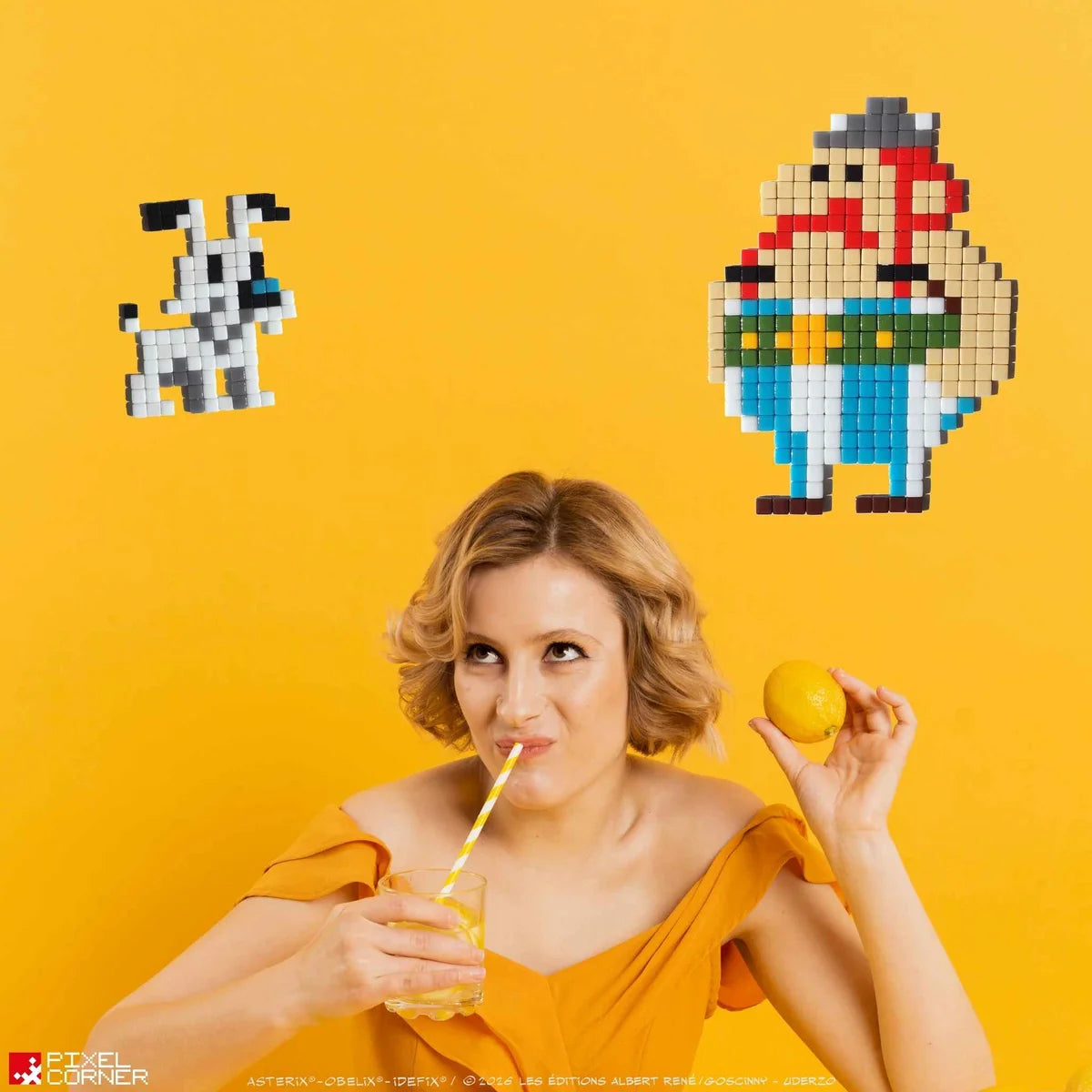 Idéfix® - Art kit mosaïque
