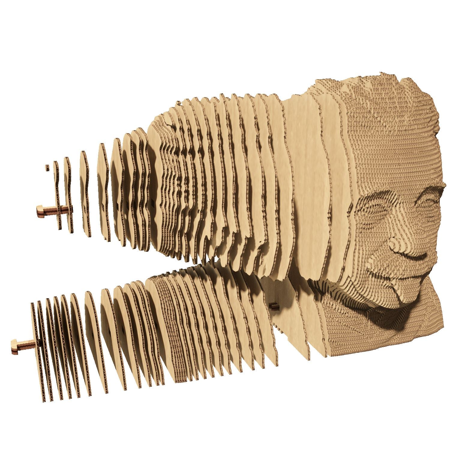 Albert Einstein - Puzzle 3D Cartonic 