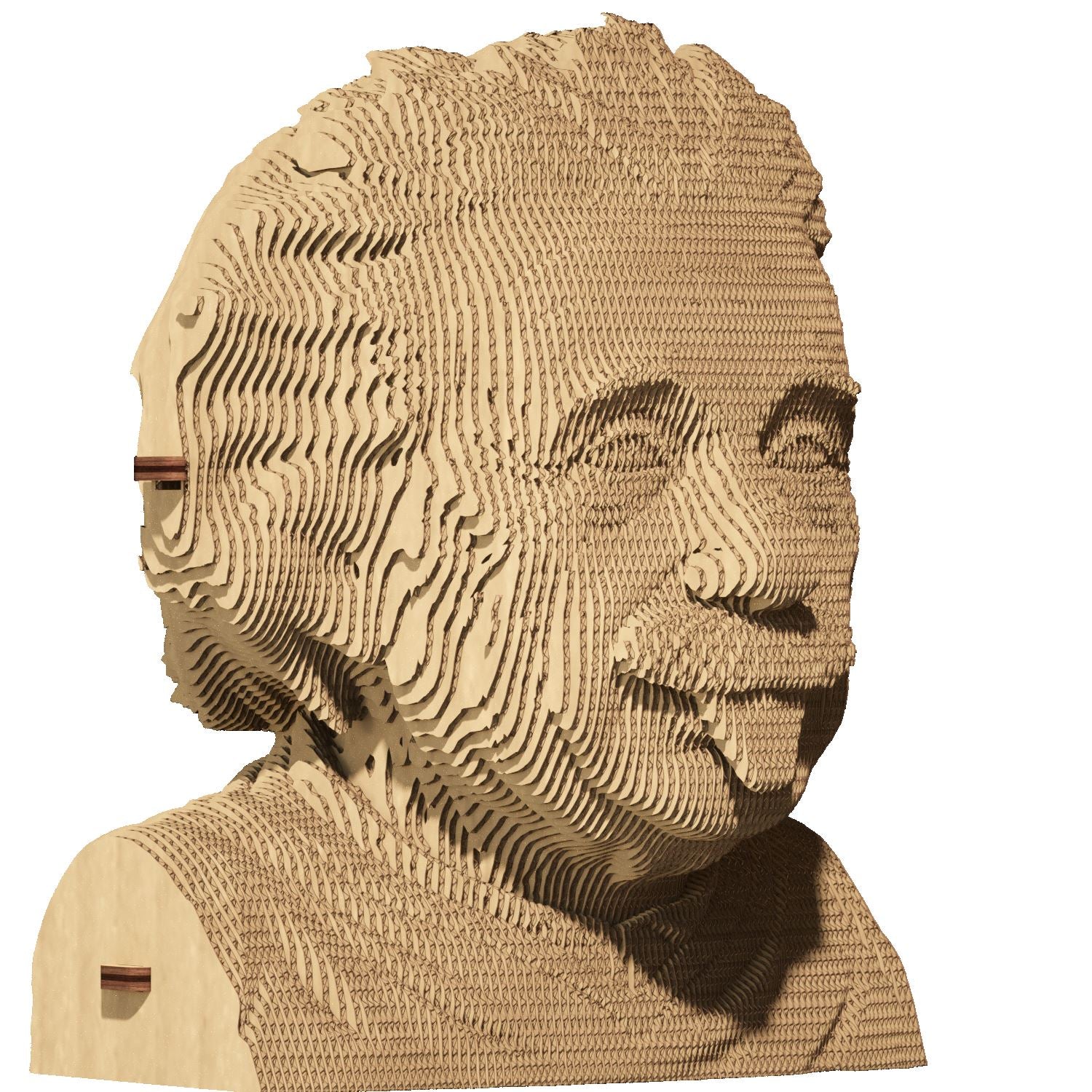 Albert Einstein - Puzzle 3D Cartonic 