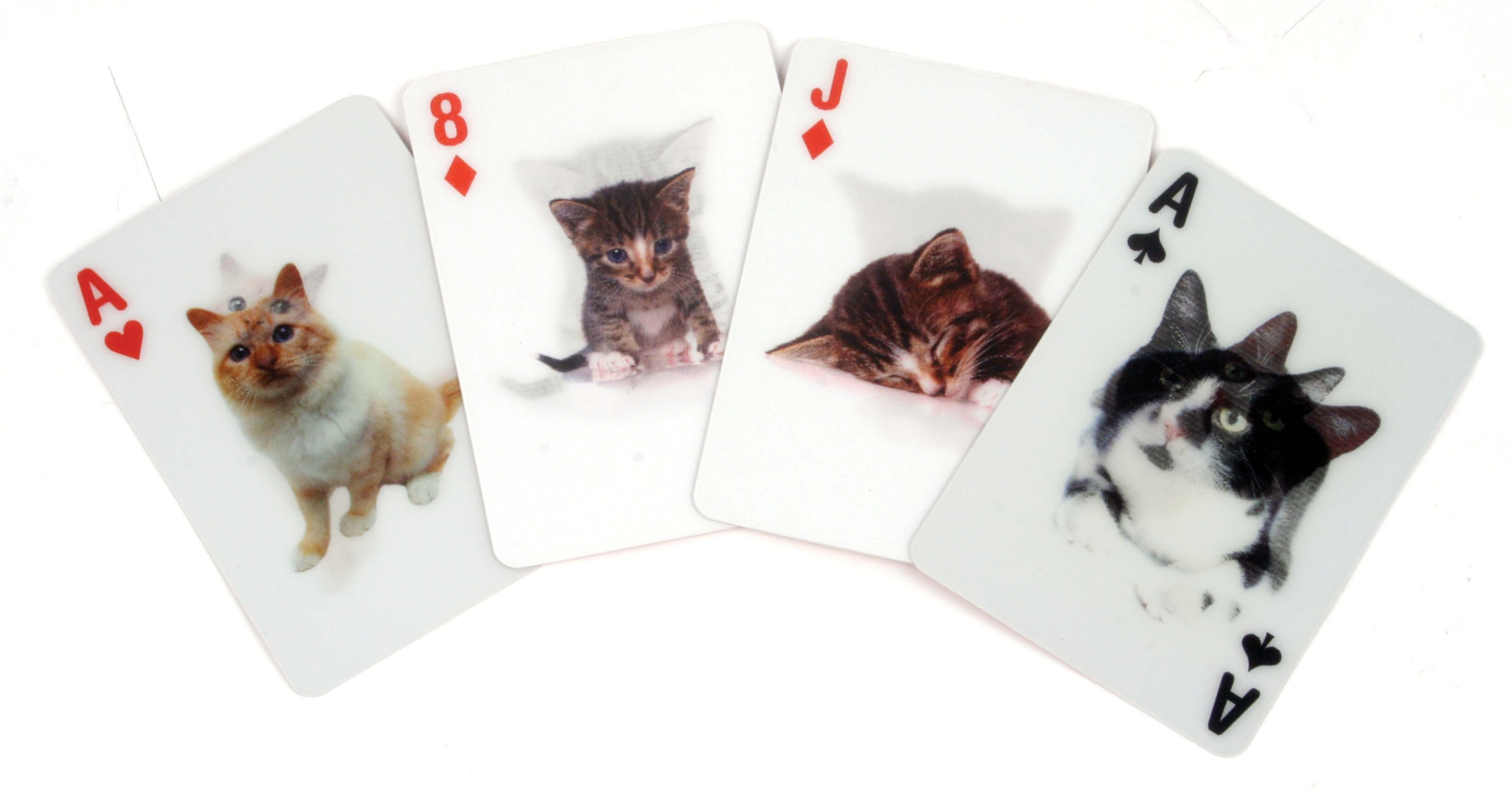 Cats 3D - Jeu de 52 cartes Kikkerland 