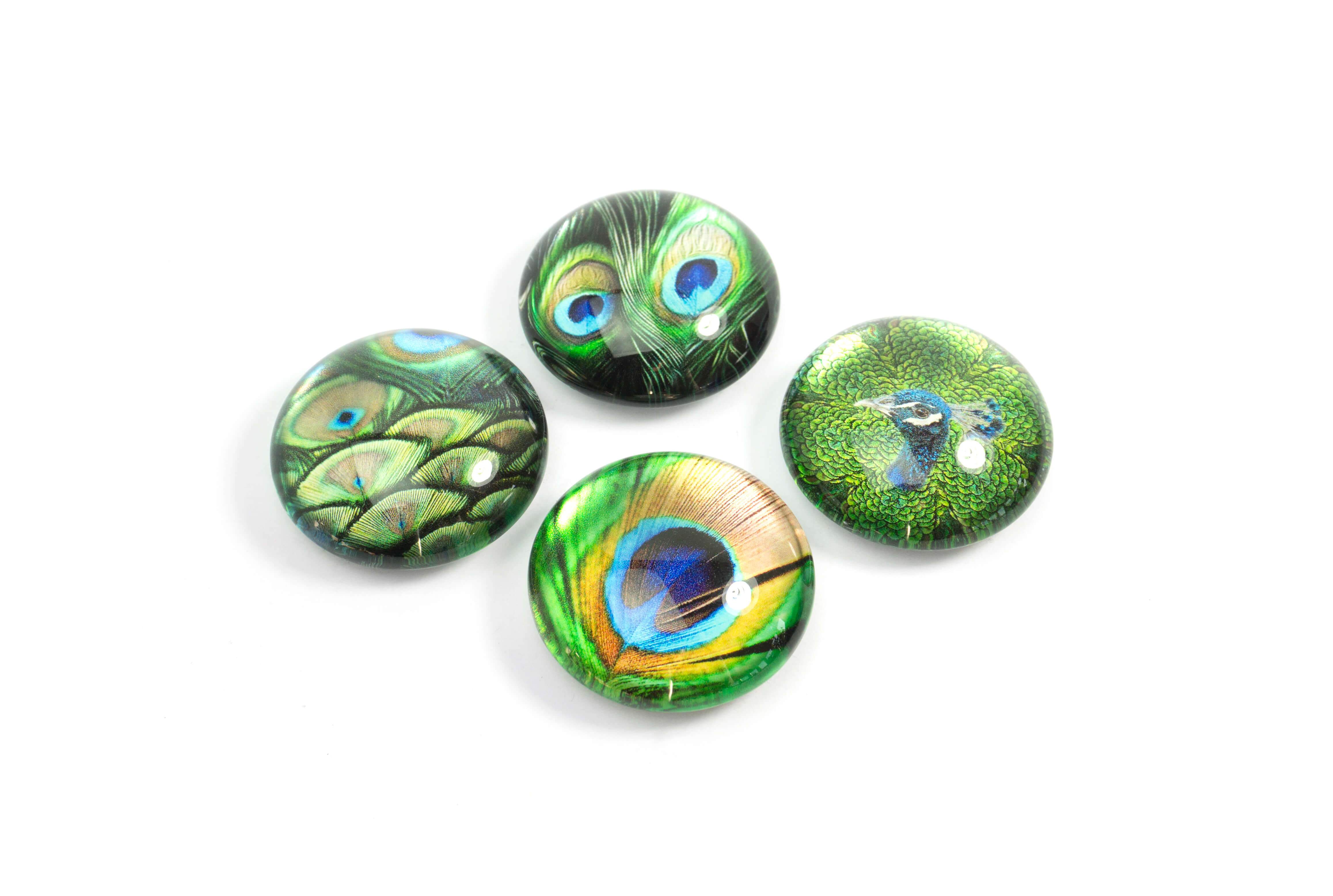 Eye Peacock - Magnet 4 pcs Trendform 