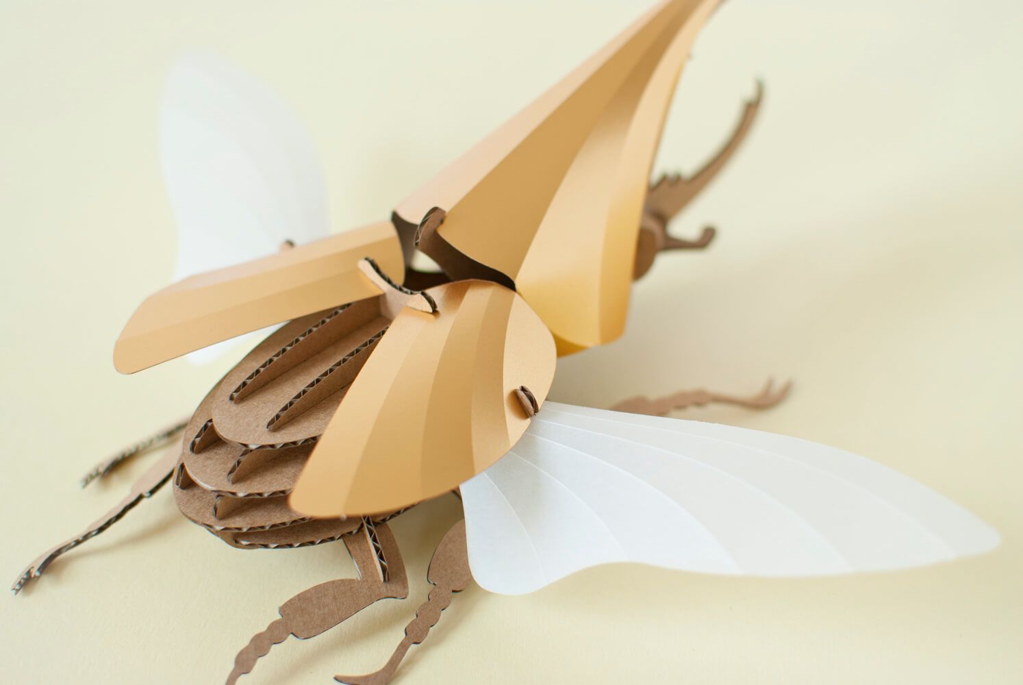 Hercules Beetle - Kit insecte en carton Assembli 