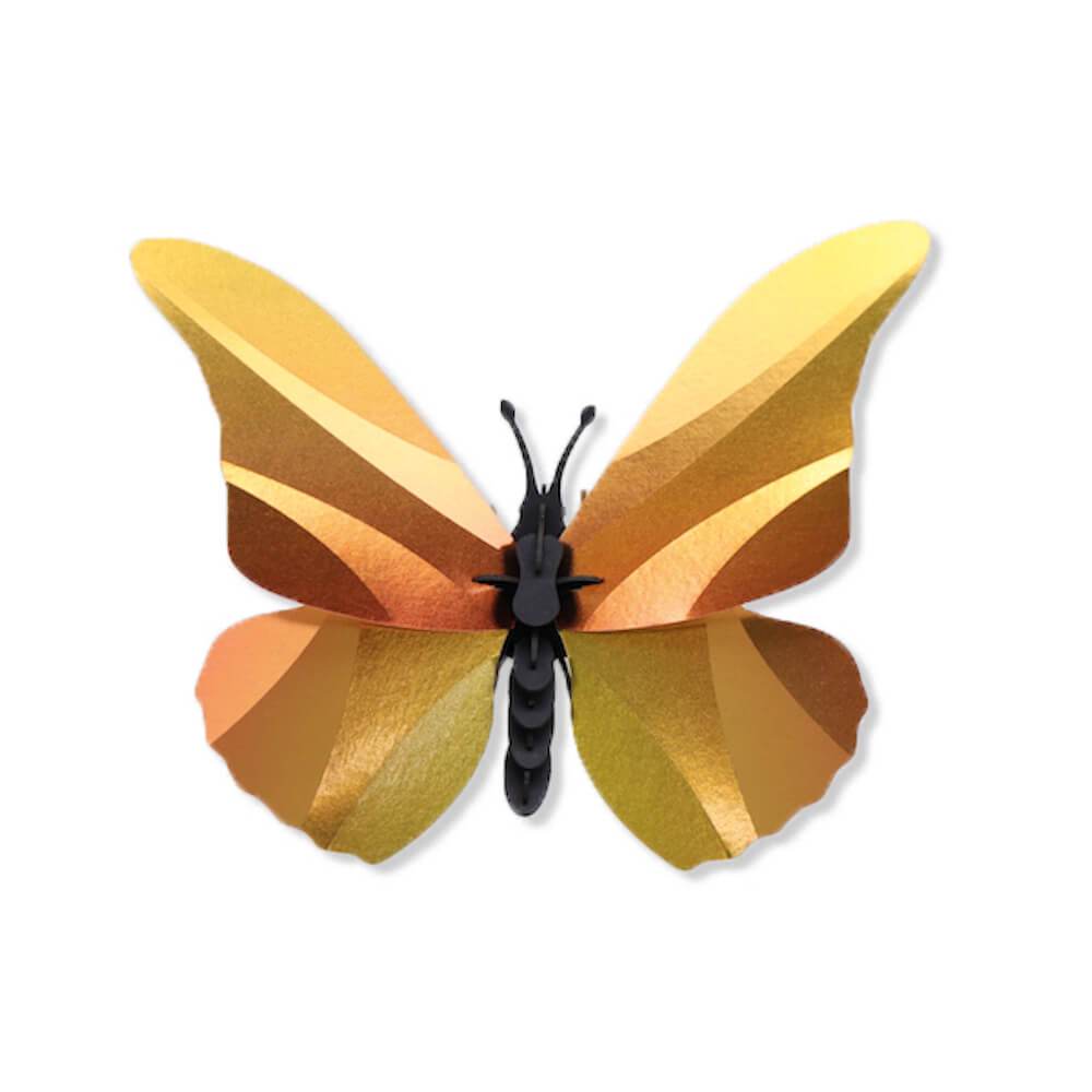 Morpho Butterfly - Kit insecte en carton Assembli 