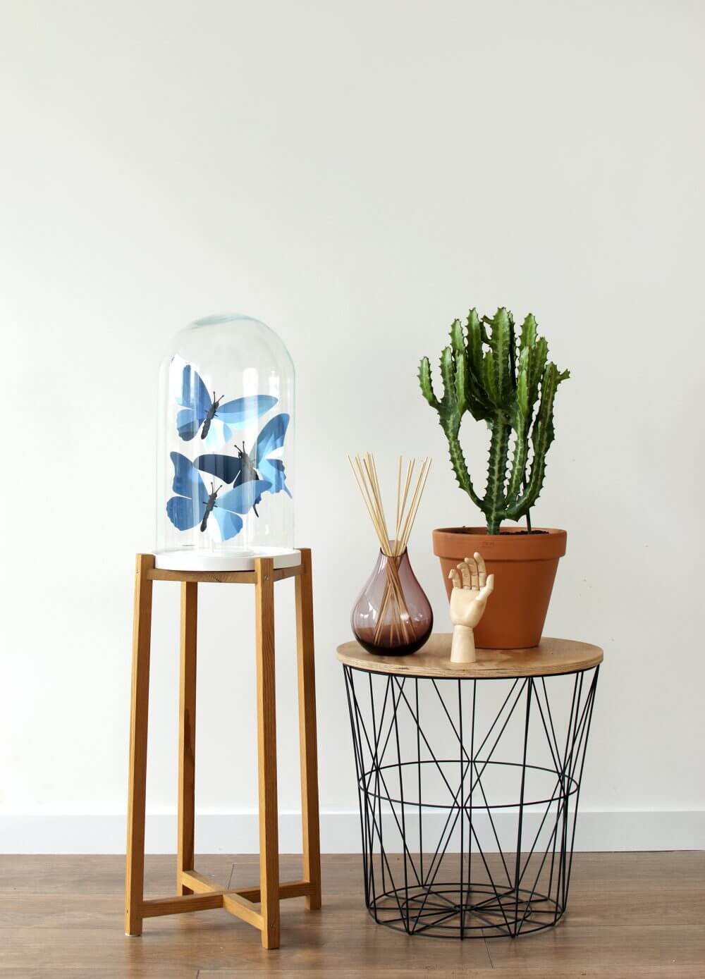 Morpho Butterfly - Kit insecte en carton Assembli 