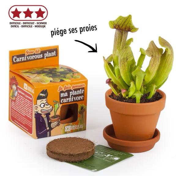 Plante carnivore - Kit terre cuite 8 cm Radis et Capucine 